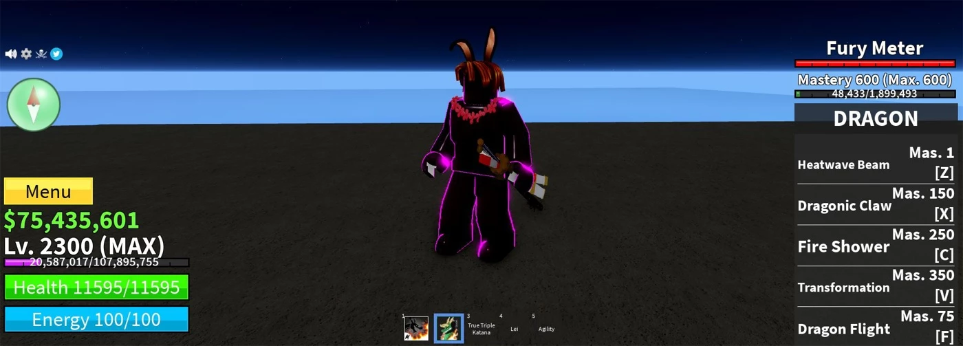 Roblox Blox Fruit Lv. 2300 Com Fruta Shadow - Outros - DFG