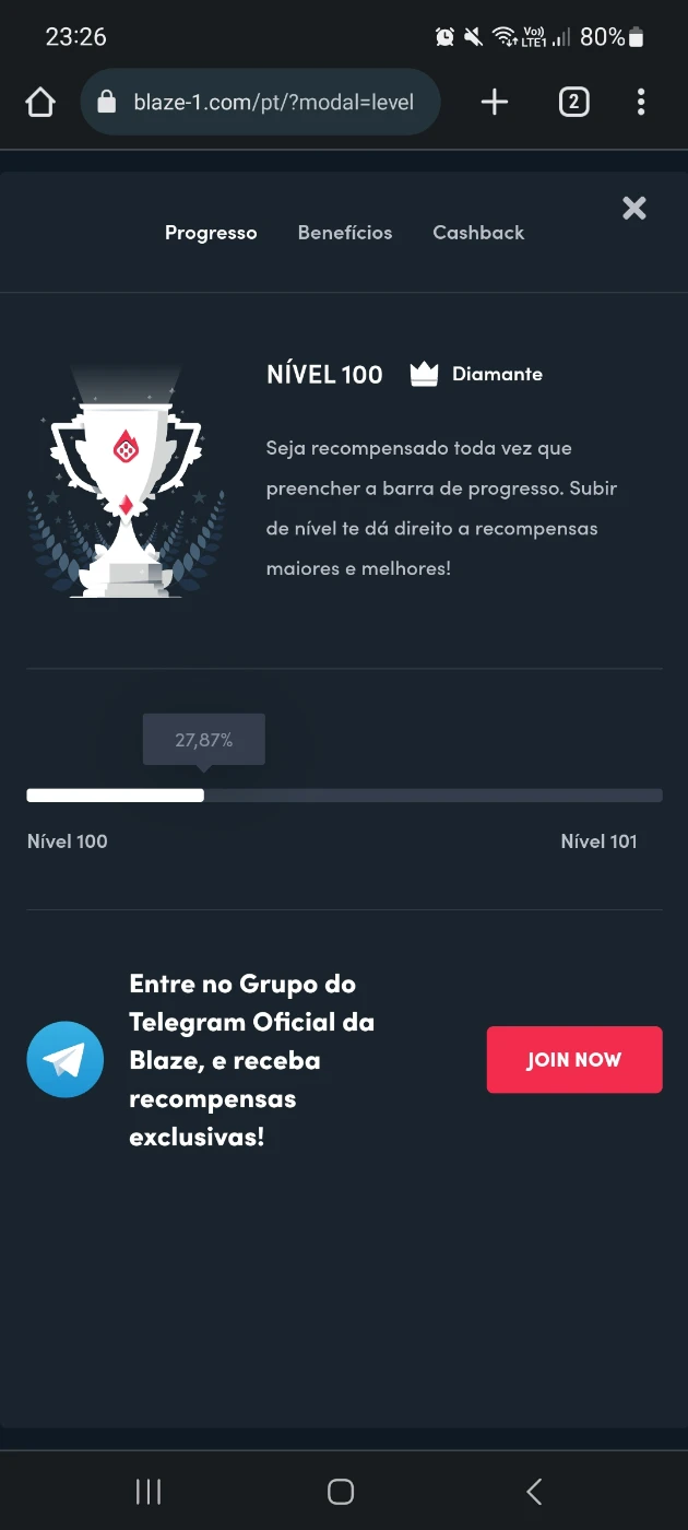 ⭐✨ Pack 80 Grupos Vips Blaze!✨⭐ - Outros - DFG