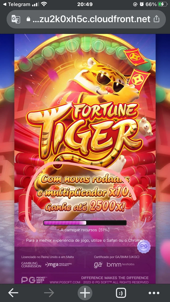 Robô Fortune Tiger Exclusive🐯 - Outros - DFG