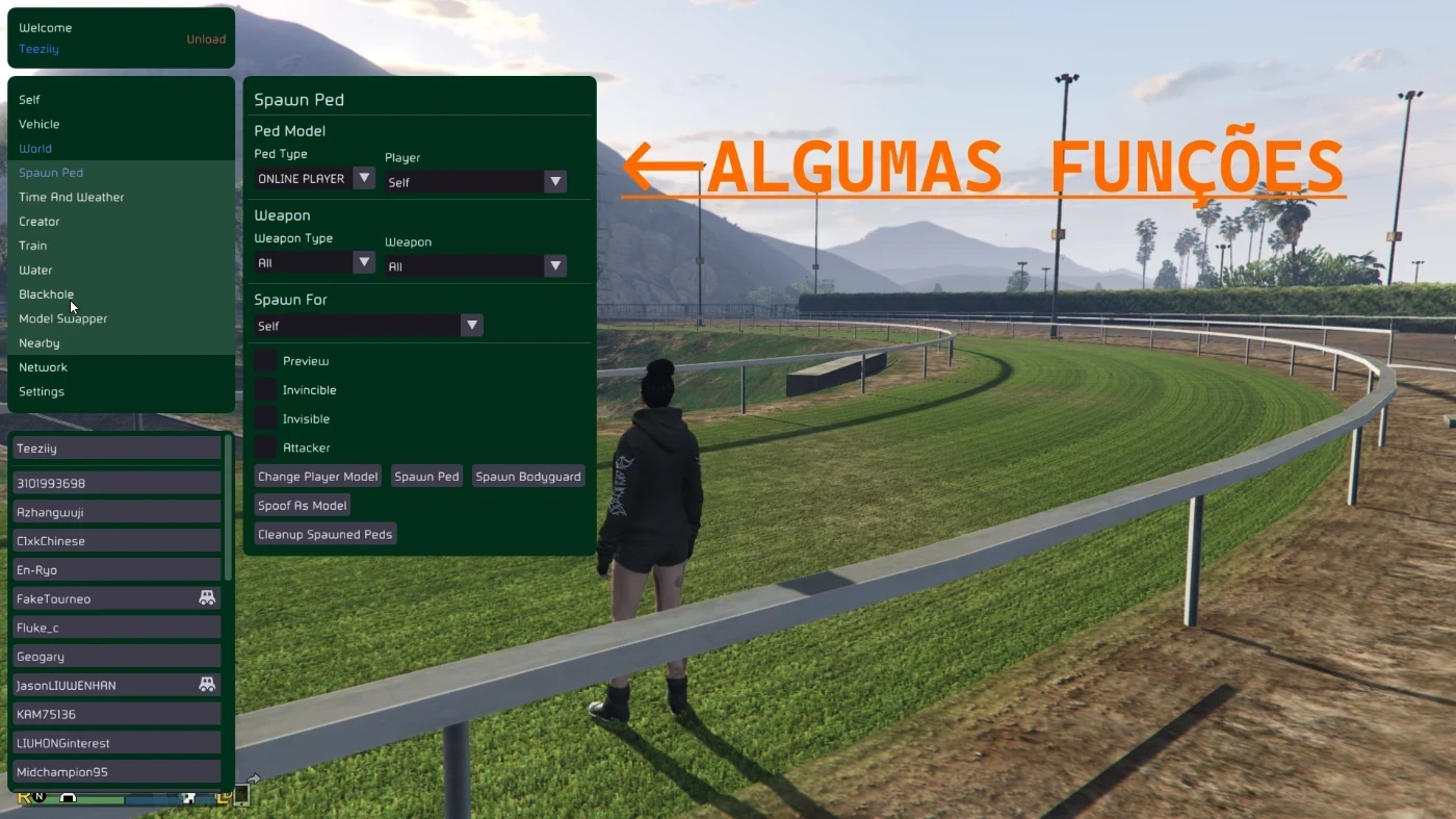 Gta 5 Mod Menu Online Dinheiro Infinito E + De 100 Funções - DFG