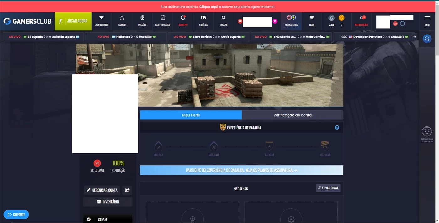 Vendo Conta Global, Com Prime E Level 20 Gamersclub - Counter Strike Cs -  DFG