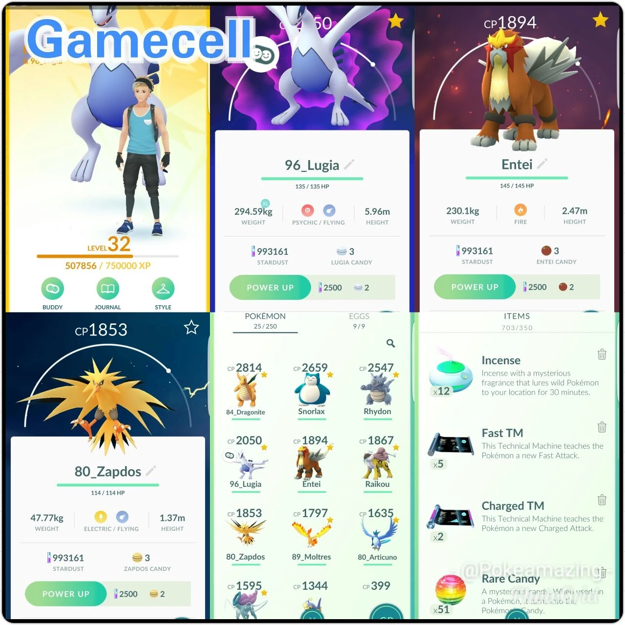 Raikou Pokémon Go - (Leia A Descrição) Lendário Pc 1700+ - Pokemon Go - DFG