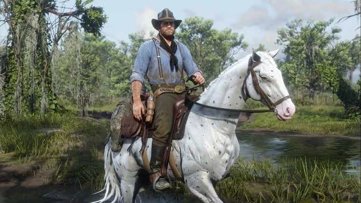 Red Dead Redemption 2 Modo História + Bônus Ed. Definitiva - Steam - DFG