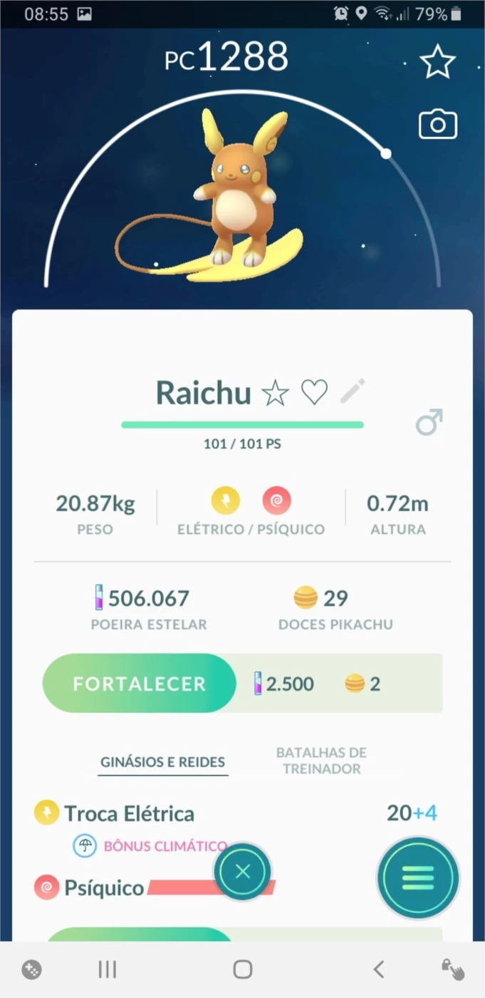 Raichu Forma De Alola - Pokemon Go - DFG
