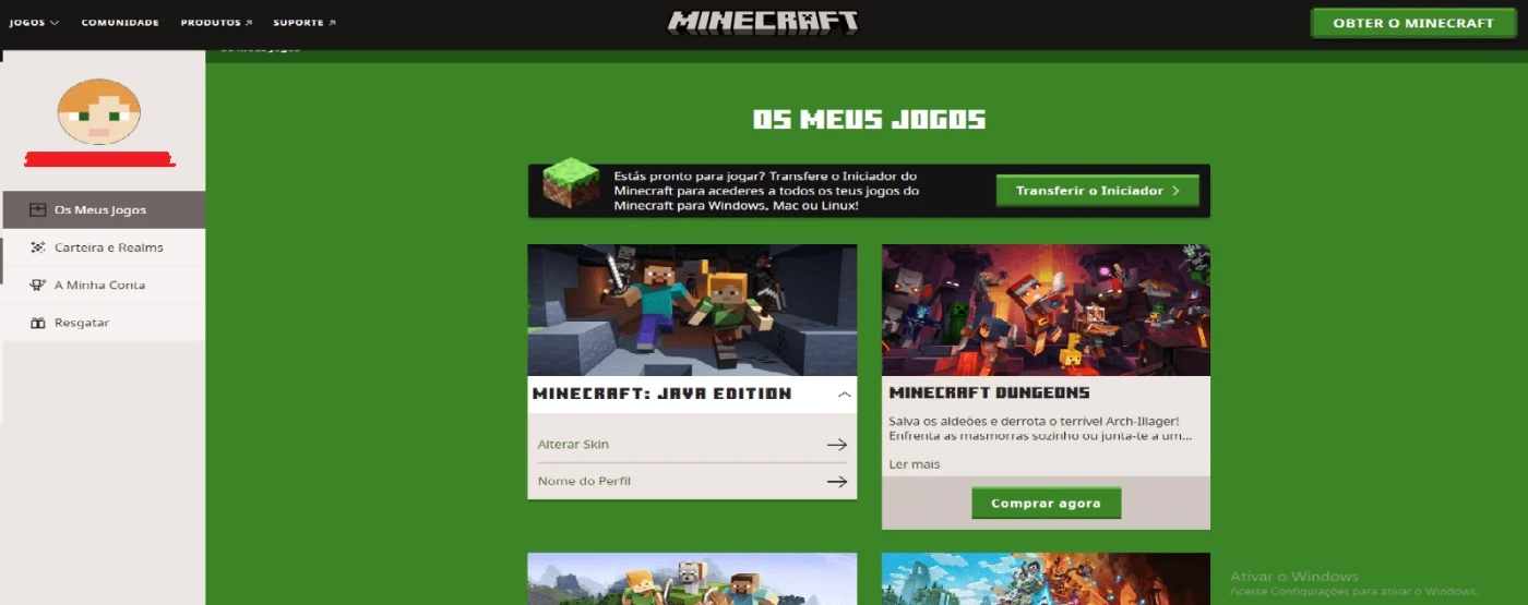 Minecraft Original Permanente - Java & Bedrock - DFG