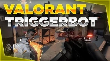 Exclusivo] Valorant Triggerbot 100% Seguro - 100% Fast Shot - DFG