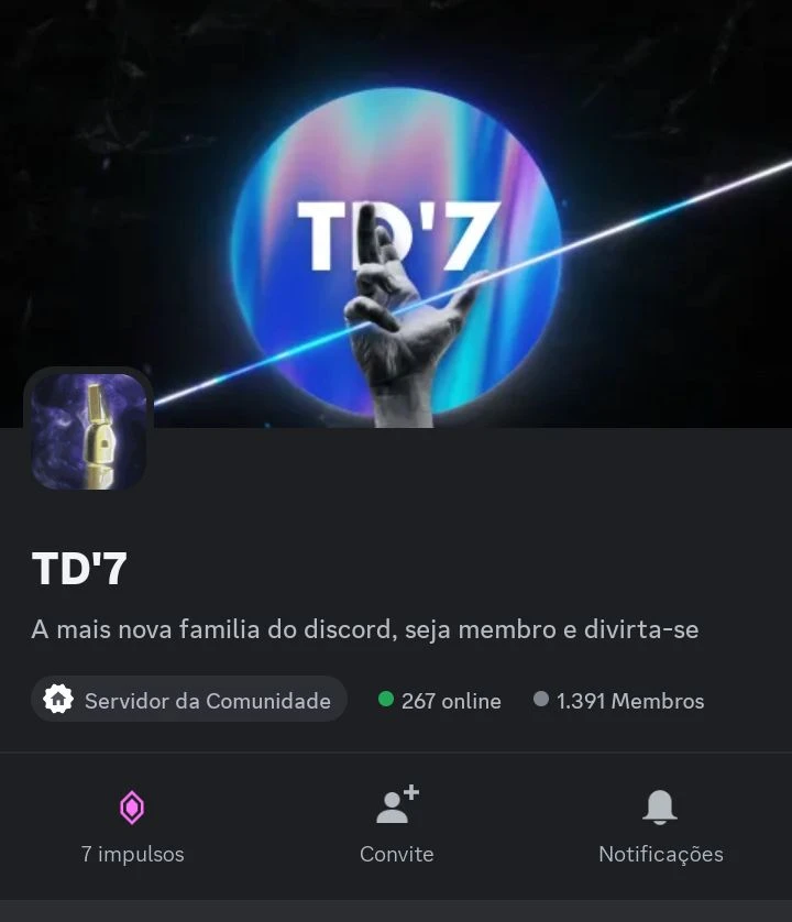 Servidor Do Discord (700 Membros / 200 Ativos) - Outros - DFG