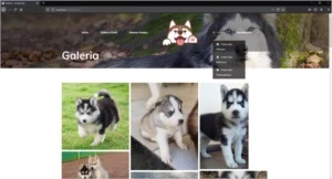 Site Para Canil 100% Responsivo - Outros