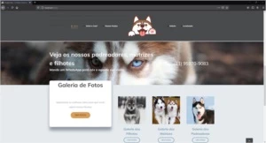 Site Para Canil 100% Responsivo - Outros