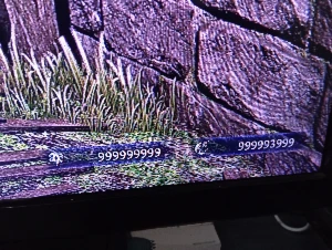 Save Elden Ring Nightreign PS4/PS5