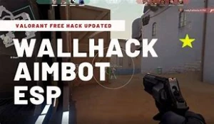 Hack valorant, skin changer,aimbot,wallhack