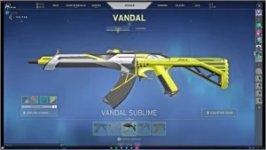 VALORANT CONTA-G3