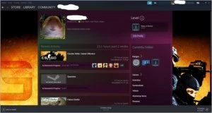 CONTA ELITE GLOBAL, COM PRIME NO CS E LEVEL 20 GAMERSCLUB. - Counter Strike