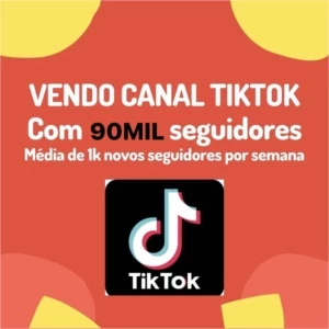 PERFIL TIKTOK 90MIL SEGUIDORES! - Redes Sociais
