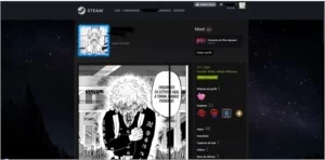 Conta steam com cs:go incluso level 22 na steam aguia 2 - Counter Strike