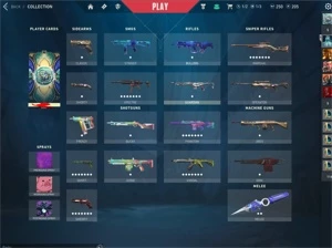 CONTA VALORANT +800 REAIS GASTOS