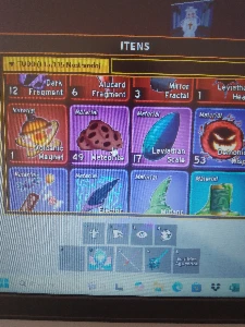 Essa conta e uma conta de blox fuits e blue lock rivals - Roblox