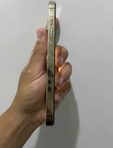 iPhone 13 Pro 256GB Dourado - Produtos Físicos
