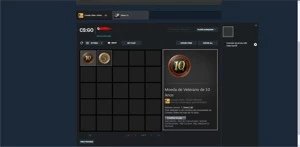 CONTA STEAM MEDALHAS CSGO DE 5 e 10 ANOS -16 ANOS DE SERVIÇO - Counter Strike