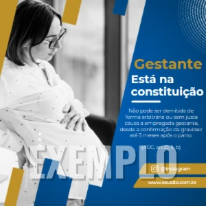 💼Pack de Apresentação Profissional Advogados – 21 Slides - Outros