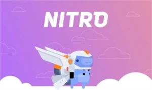 Discord nitro 1 mês classic