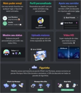 Discord nitro 1 mês classic