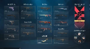 Conta VALORANT Premium | 19 Skins Insanas | Protocol 781-A,
