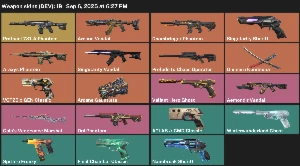 Conta VALORANT Premium | 19 Skins Insanas | Protocol 781-A,