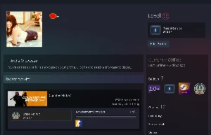 Conta Cs2 Prime Com Medalhas - Counter Strike