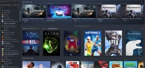 CONTA STEAM 8 ANOS