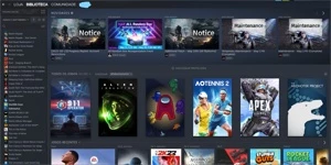 CONTA STEAM 8 ANOS