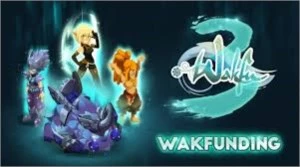 CONTA COM CHARS 200 EFRIM - Wakfu