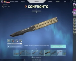 conta valorant com todas as skins