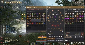 V>Conta Black Desert