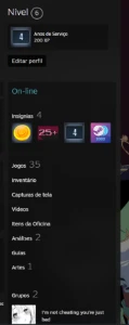 Conta Steam com 4 Anos de serviço