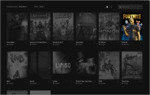 contas epic games + conta fortnite + bordelands 3