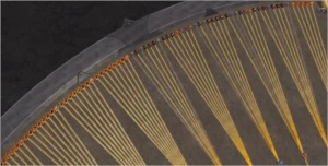 Conta Albion 340kk + EMAIL - Albion Online