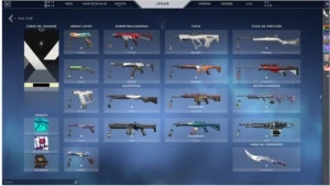 Conta VALORANT (Várias skins)