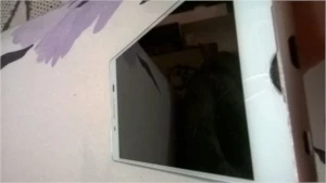 Sony Xperia Z3+ Z3 Plus E6533 Dual Chip - Outros