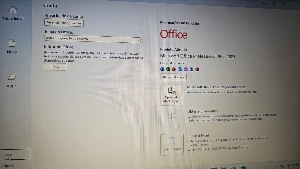 Office 2021 - Professional  Plus - Vitalício - Softwares e Licenças