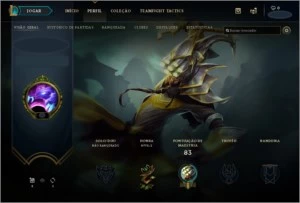 CONTA LVL30+ SMURF DE LOL 10K+ DE ESSÊNCIAS E 30+ CAMPEÕES - League of Legends