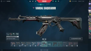 Conta Valorant