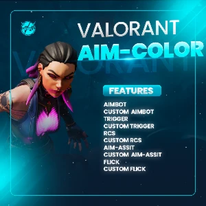 Valorant Color aimboot