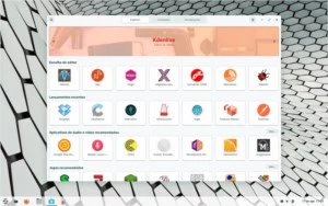Zorin OS x64 Final Pro v.16 Oficial - Outros