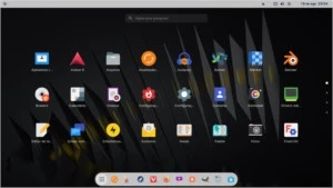 Zorin OS x64 Final Pro v.16 Oficial - Outros