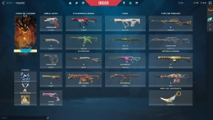 Conta valorant top com varias skins