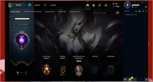 PACOTE COM 60 CONTAS CRACKEDS  USER-PASS - League of Legends LOL