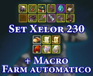 Wakfu Ogrest - Set Xelor 230 Farm Fenda + Macro farm auto