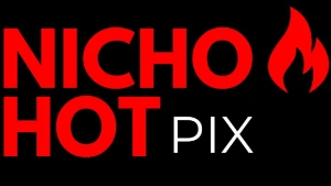 Nicho Hot🔥 Pack Stories com Áudios + PDF com Mentoria 🥷 - Outros