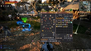Conta black desert